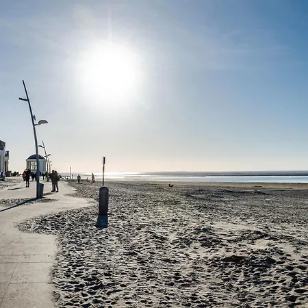 Inselheide- Inselnest