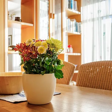 Inselheide- Inselnest בורקום