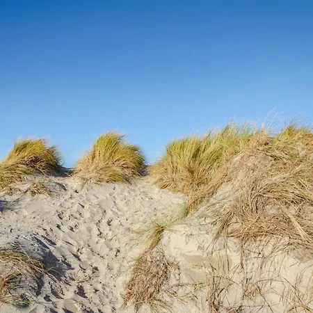 Inselheide- Inselnest Borkum