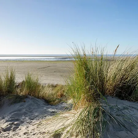 Inselheide- Inselnest Borkum